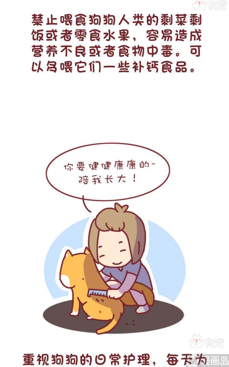 🍜有宠百科 第106话 第6页