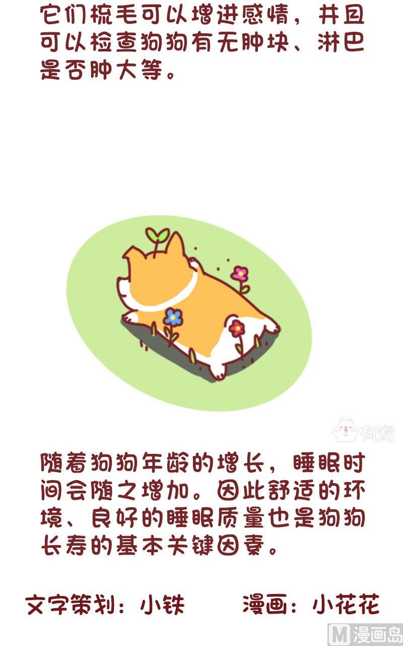 🍜有宠百科 第106话 第7页