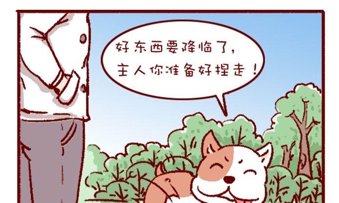 🍜有宠百科 第108话 第10页