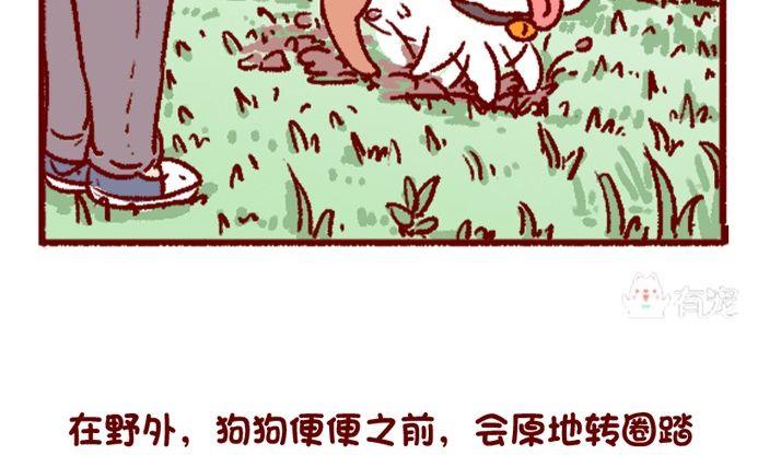 🍜有宠百科 第108话 第11页