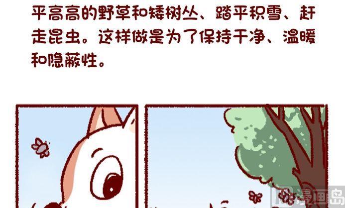 🍜有宠百科 第108话 第12页