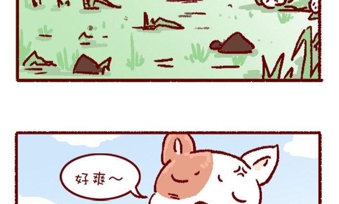 🍜有宠百科 第108话 第14页