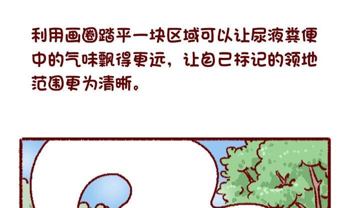 🍜有宠百科 第108话 第16页