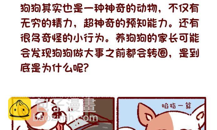 🍜有宠百科 第108话 第2页