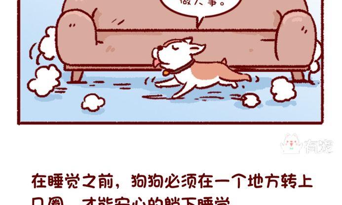 🍜有宠百科 第108话 第4页