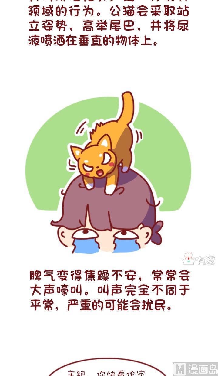 🍜有宠百科 第110话 第4页