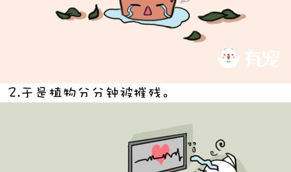 🍜有宠百科 第12话 第4页