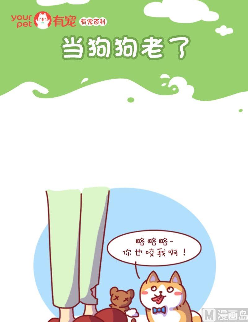 🍜有宠百科 第114话 第1页