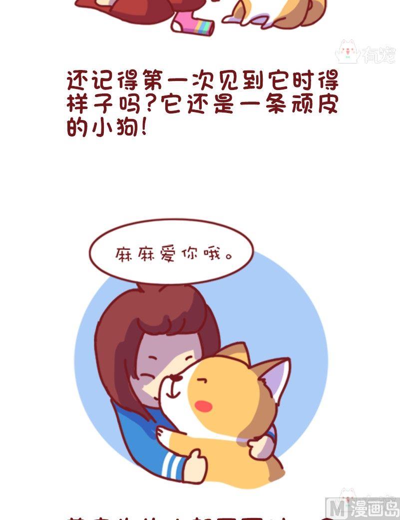 🍜有宠百科 第114话 第2页