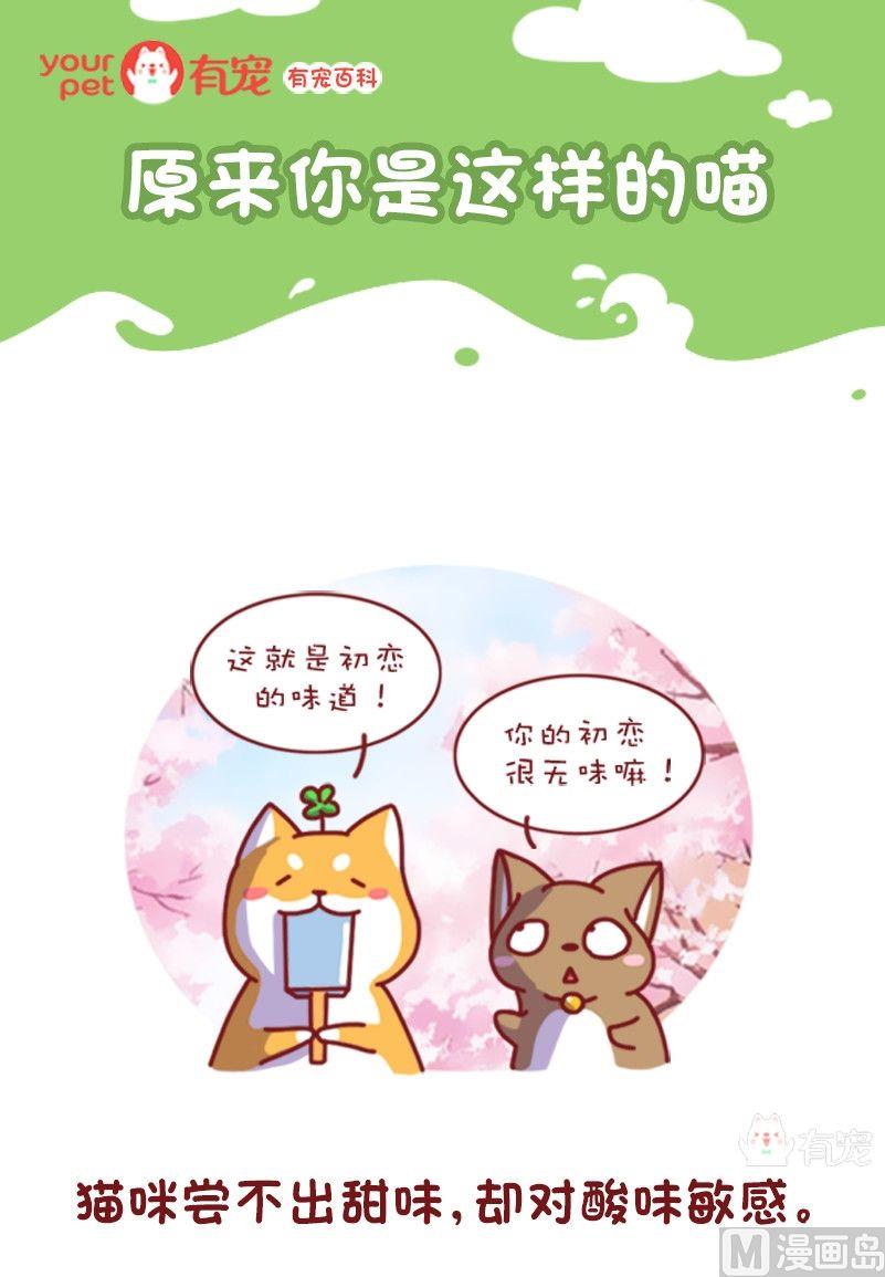 🍜有宠百科 第118话 第1页