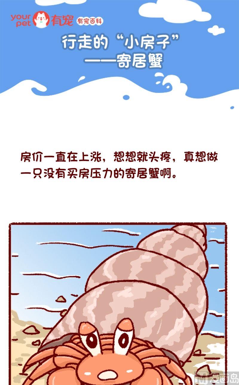 🍜有宠百科 第120话 第1页