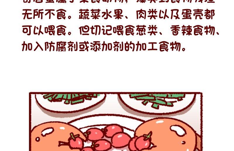 🍜有宠百科 第120话 第12页