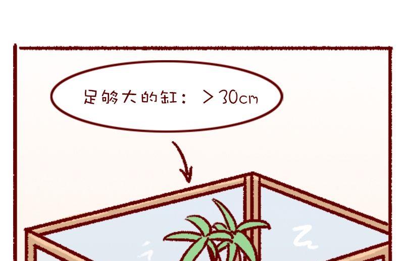 🍜有宠百科 第120话 第6页