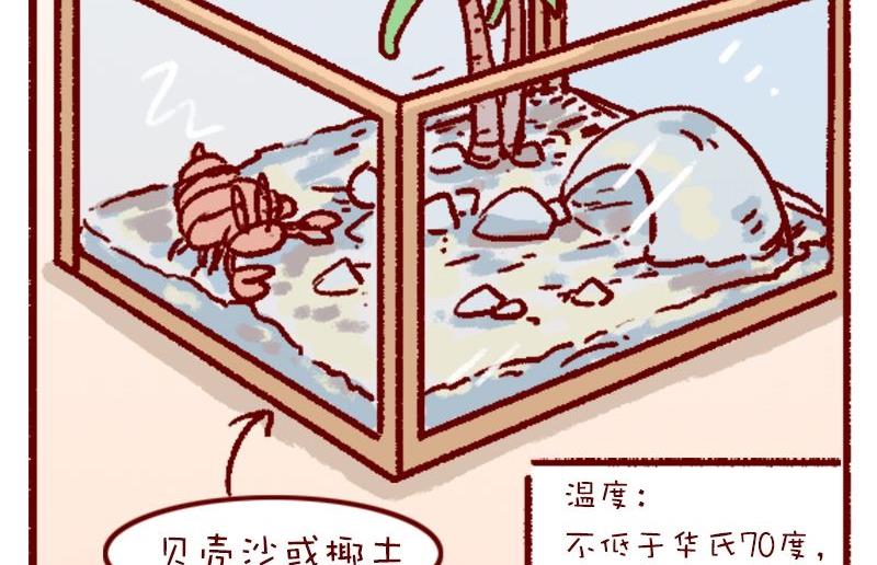 🍜有宠百科 第120话 第7页
