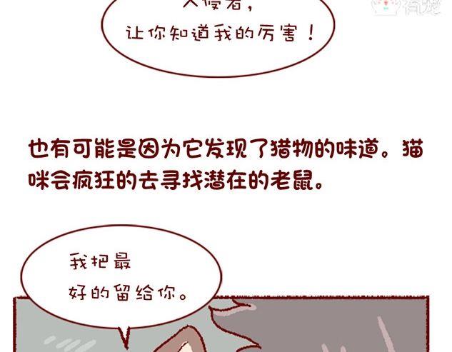 🍜有宠百科 第122话 第11页