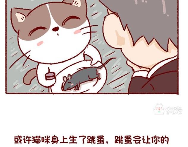 🍜有宠百科 第122话 第12页