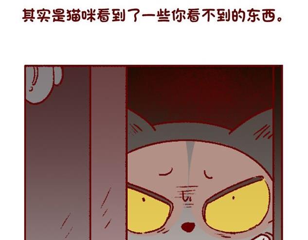 🍜有宠百科 第122话 第15页
