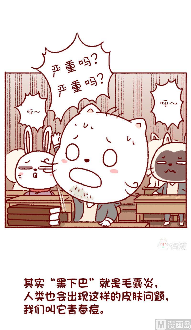 🍜有宠百科 第126话 第4页