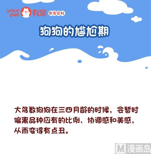 🍜有宠百科 第128话 第1页