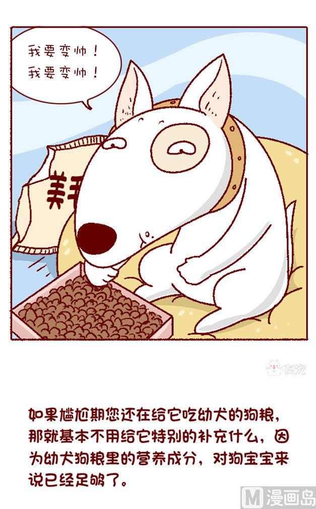 🍜有宠百科 第128话 第10页