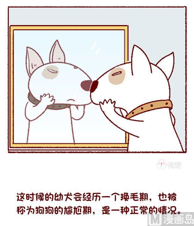 🍜有宠百科 第128话 第2页