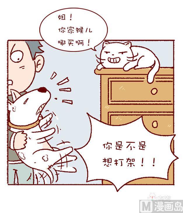 🍜有宠百科 第128话 第3页