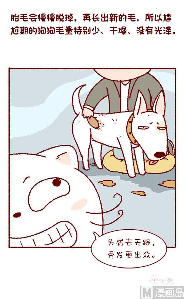 🍜有宠百科 第128话 第4页