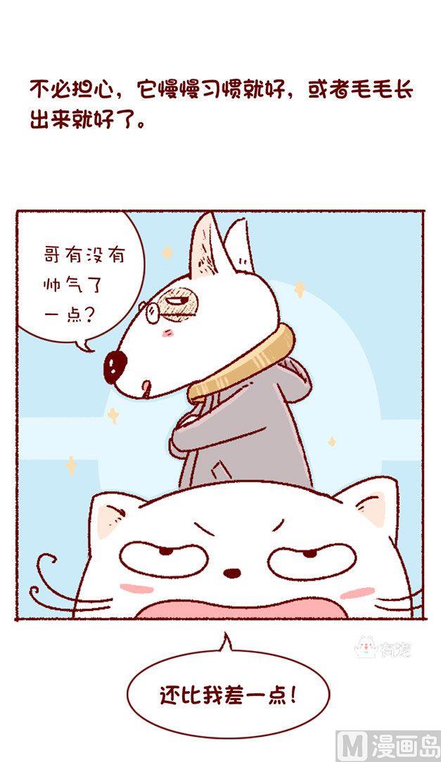 🍜有宠百科 第128话 第8页