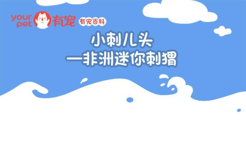 🍜有宠百科 第130话 第1页