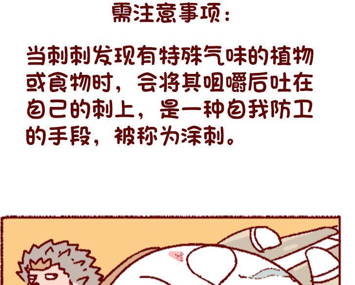 🍜有宠百科 第130话 第17页