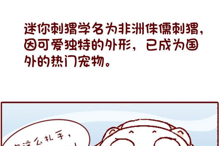 🍜有宠百科 第130话 第6页