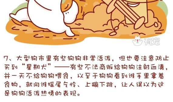 🍜有宠百科 第14话 第11页