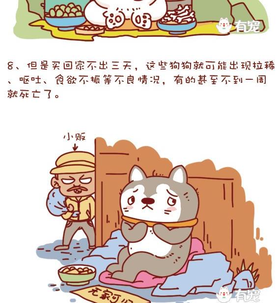 🍜有宠百科 第14话 第13页