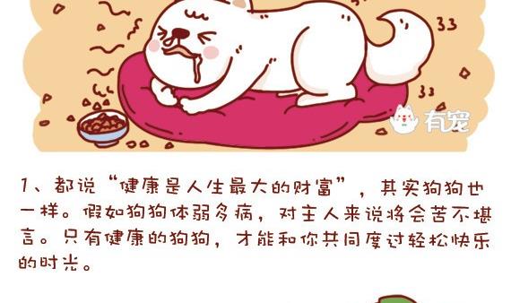 🍜有宠百科 第14话 第2页