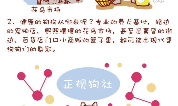 🍜有宠百科 第14话 第4页