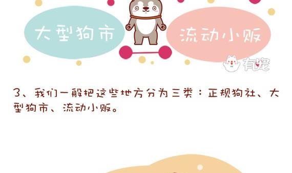 🍜有宠百科 第14话 第5页