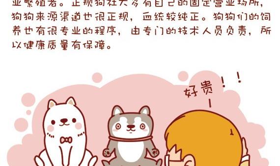 🍜有宠百科 第14话 第7页