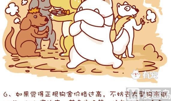 🍜有宠百科 第14话 第9页