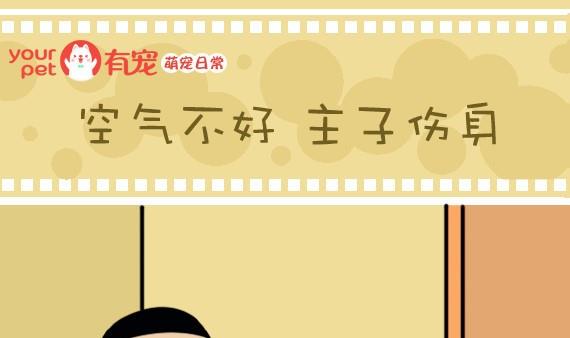 🍜有宠百科 第16话 第1页