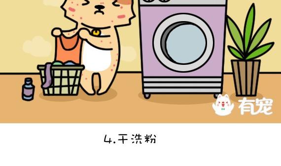 🍜有宠百科 第16话 第7页
