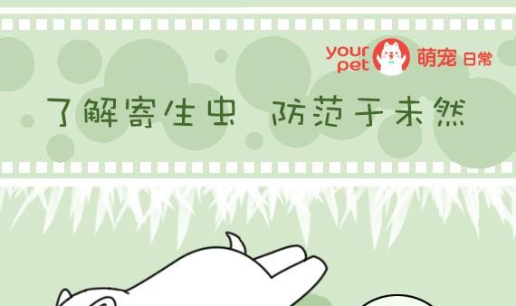 🍜有宠百科 第18话 第1页