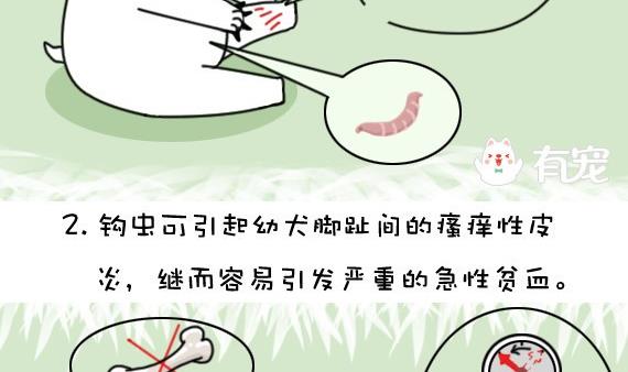 🍜有宠百科 第18话 第4页