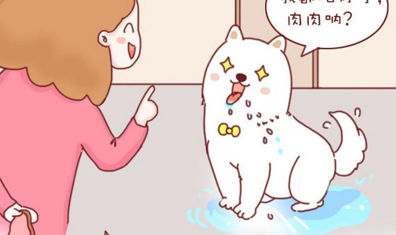 🍜有宠百科 第20话 第11页