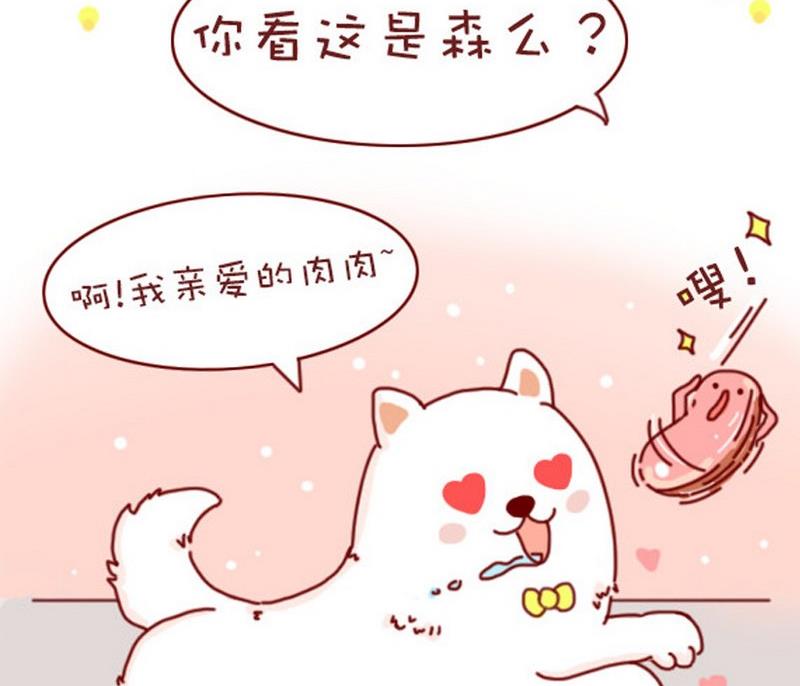 🍜有宠百科 第20话 第16页