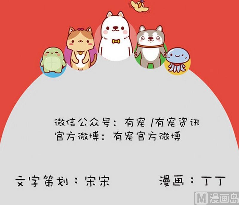 🍜有宠百科 第20话 第18页