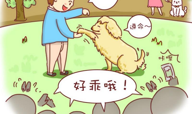 🍜有宠百科 第20话 第2页