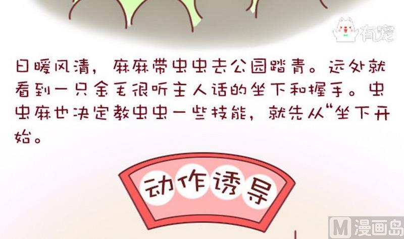 🍜有宠百科 第20话 第3页