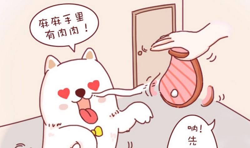 🍜有宠百科 第20话 第4页