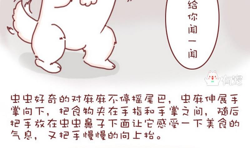 🍜有宠百科 第20话 第5页