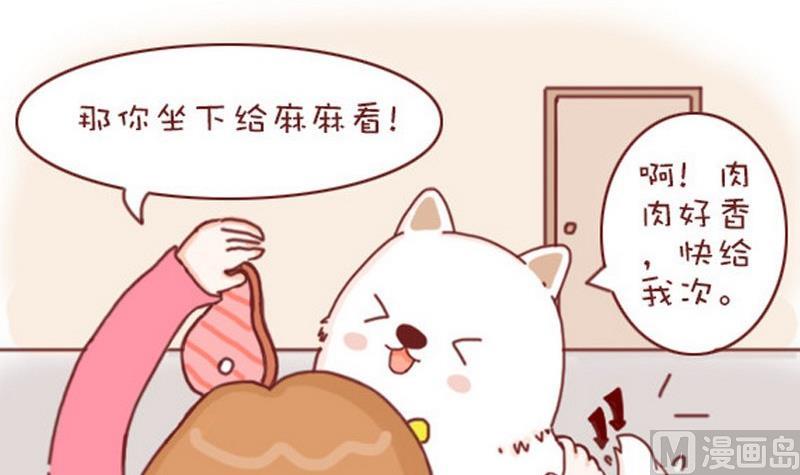 🍜有宠百科 第20话 第6页
